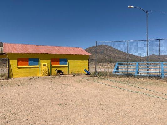 Bisbee Dog Park