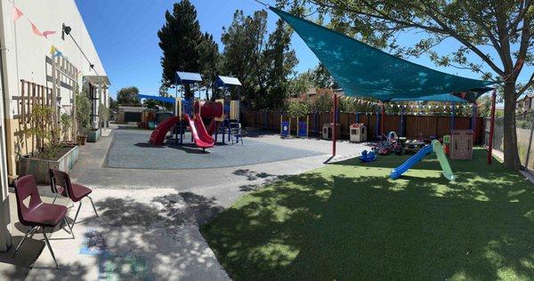 Outdoor play area & the play structure