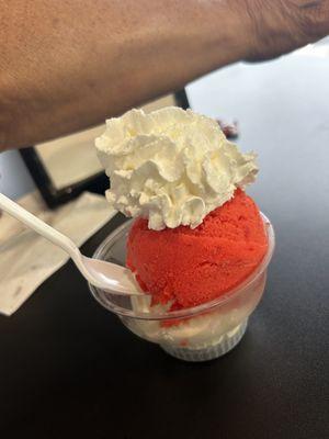 Tc's Dream - cherry with vanilla ice cream  So rich and flavorful