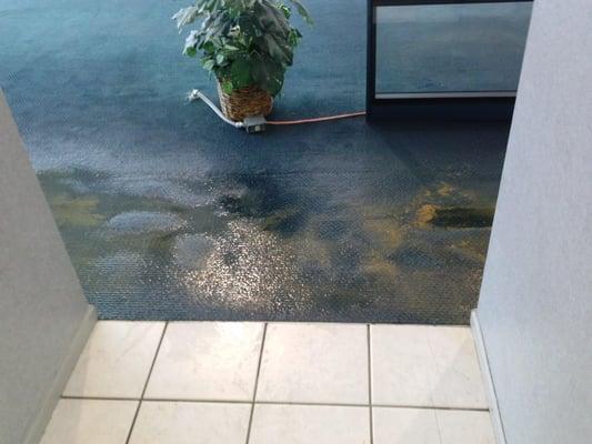 flooding @ a commercial building