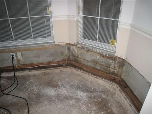 Water damage/Mold