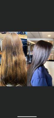 Chocolate Hair Color Transformation