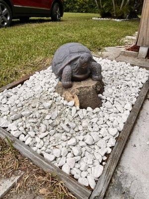 Laid rock and placed a turtle for a happy customer