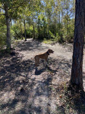 In the nature trails.