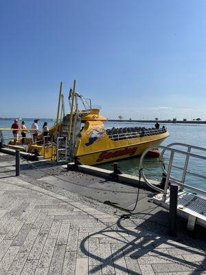 Sea Dog Speed Boat