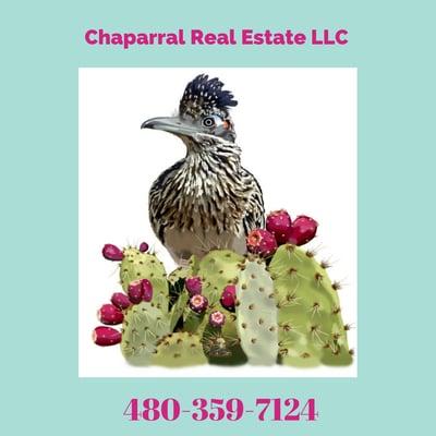 Chaparral Real Estate LLC