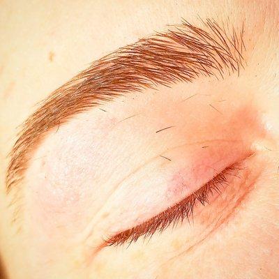 Post Freshly Waxed and Trimmed Brows!
www.thebrowbottega.com