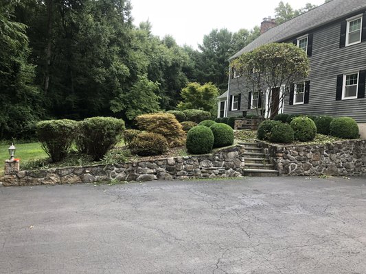 Shrub trimming in Easton, CT