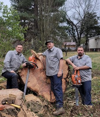 Tree Techs of Rock Hill