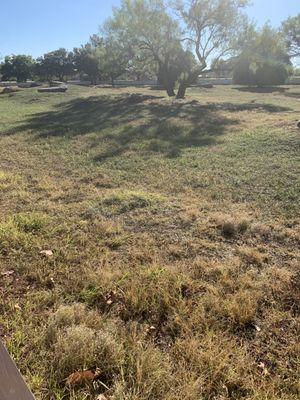 Prairie dog enclosure at Kiwanis Park in Wichita Falls, Texas.