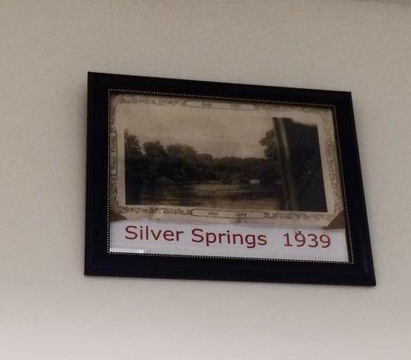 Silver Springs 1939-2017