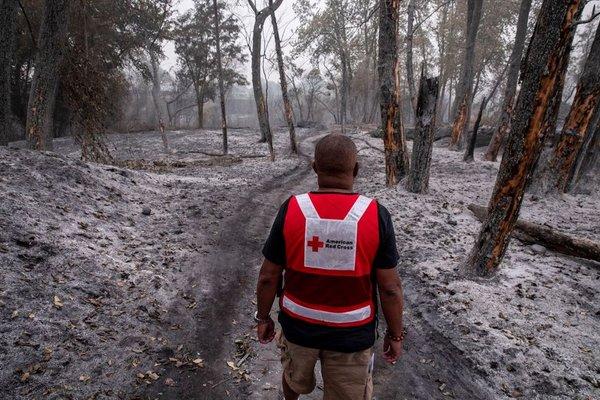 Red Cross volunteer doing wildfire damage assessment