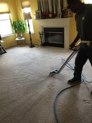 Carpet looking good after steam cleaning by Zuguzu service carpet technician