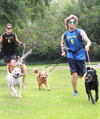 Bob and Andrew and a few of our furry clients out for an afternoon run.