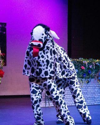 A cow in our enchanted garden? Spring show