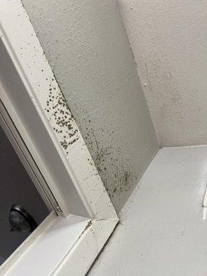 Mold