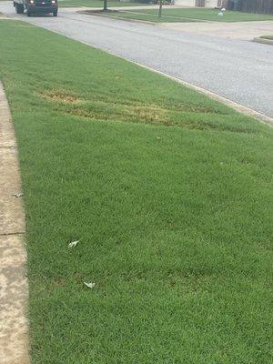 More ruts in the front yard.