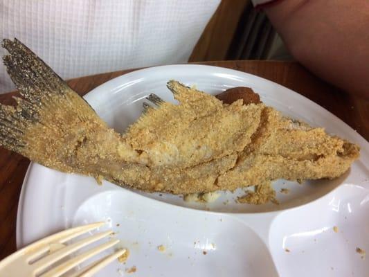 Fried catfish