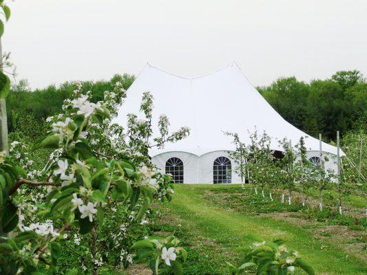 60' Wide Tent with French Window Sidewalls