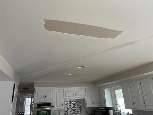 Ceiling Repair