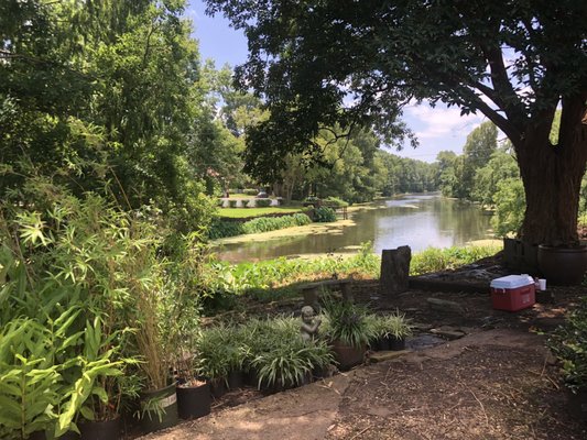 7/5/19. Friday. Summer Clean Out Sale. View out back.