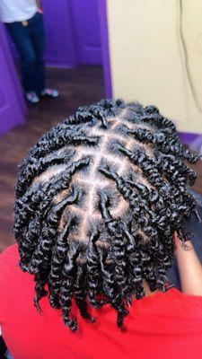 Starter locs (2strand twist)