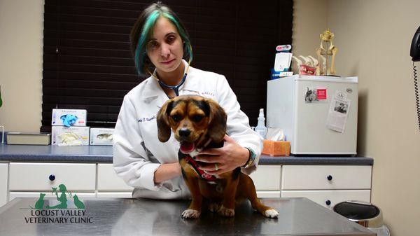 Locust Valley Veterinary Clinic