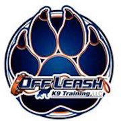 Off Leash K9 Training Jersey Shore