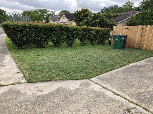 After mowed and edged(Address 1)