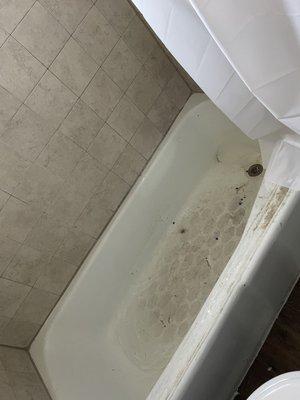 This was the bathtub when we toured the apartment