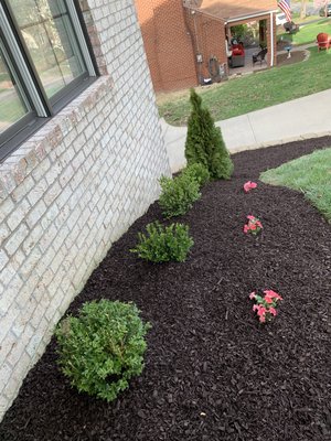 New plants and mulch