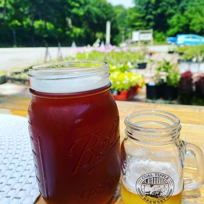 IPA pint and pale ale sample - good