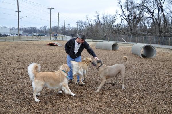 Salem Dog Park!