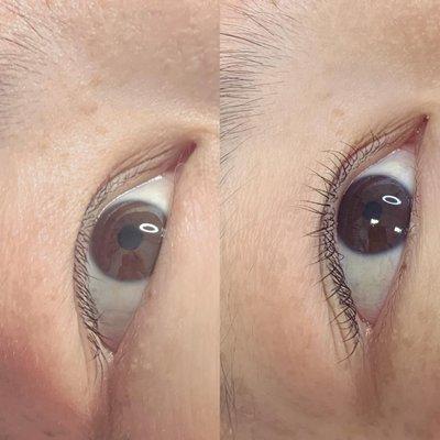 Organic Lash Lift