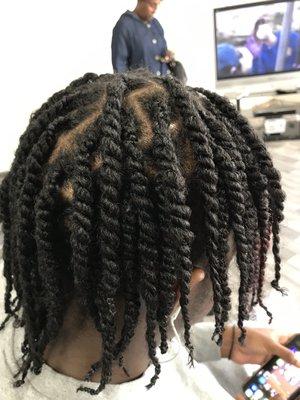 Fresh two strand twists