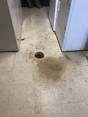 The laundry room floor is gross and always wet