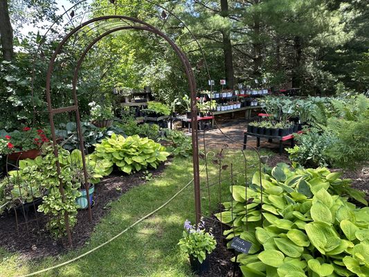 Outback Garden Growers Nursery