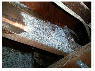 NJ Mold Inspection | Mold: Literally A "Growing Concern" In NJ http://yourhomeinspectorllc.com/moldtesting/