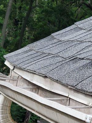 It's a nice flat roof. Lol and the roofer supported himself by pushing his foot against the gutter. Thank God, nothing happened