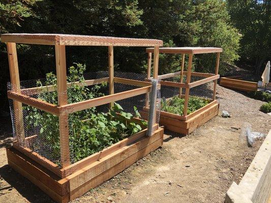 Enclosed Garden Beds