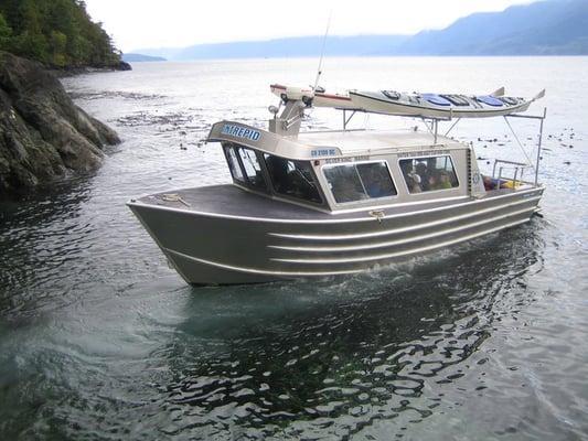 Water Taxi