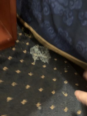 Fresh dried vomit on floor next to bed