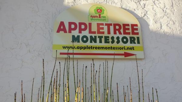 Appletree Montessori