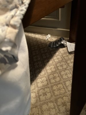 Sock and tissue under the bed