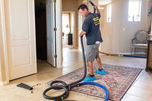 Beeline Steam Carpet and Upholstery Cleaning