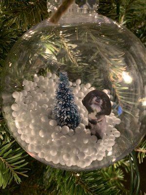 Custom ornament with our dog's picture