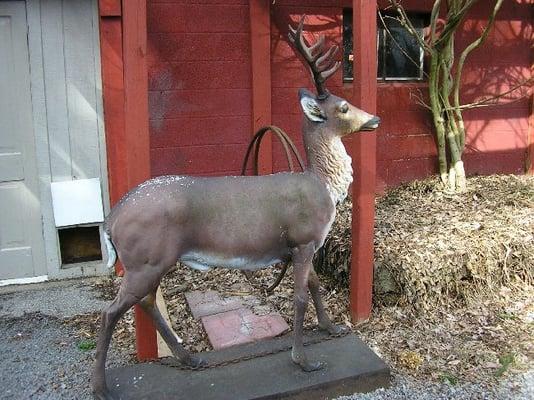 Antique life size cast iron deer on base, all original