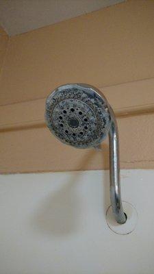 Shower head