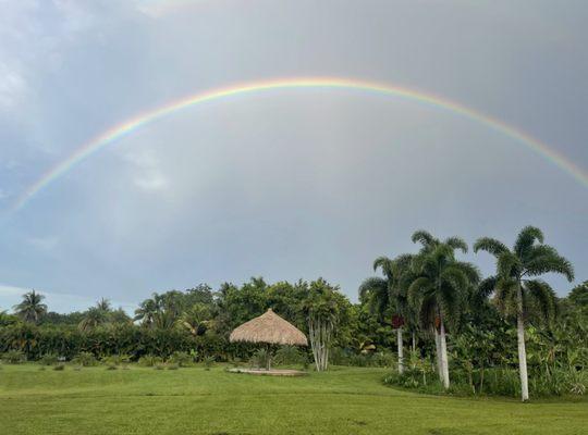 Come relax under a Chiki Hut on our new connected property to the back of the farm.  A place to unwind from a busy week.