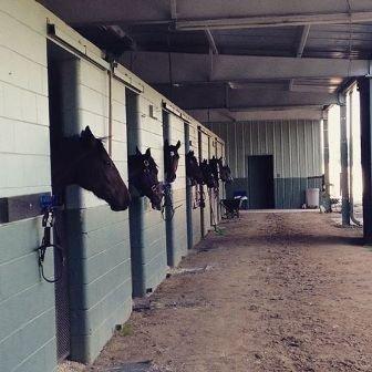 Soaring Eagle Equestrian Center